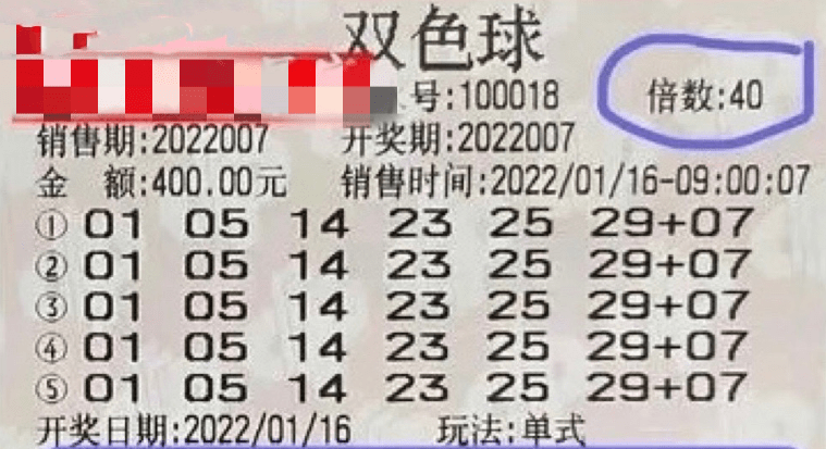 2024新澳門今晚開獎號碼和香港,新澳門與香港的未來，探索彩票開獎的奧秘與機遇