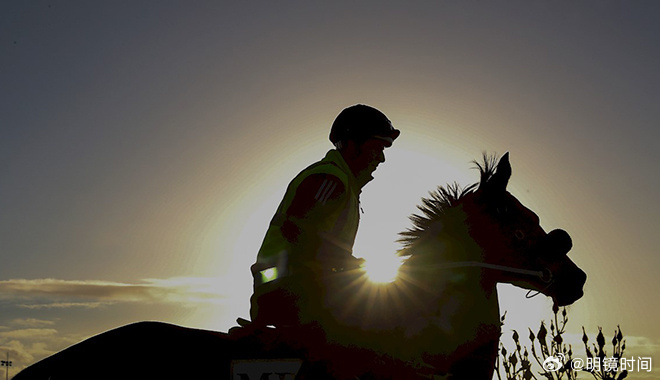 2024年澳門特馬今晚號碼,關于澳門特馬今晚號碼的探討——警惕違法犯罪風險