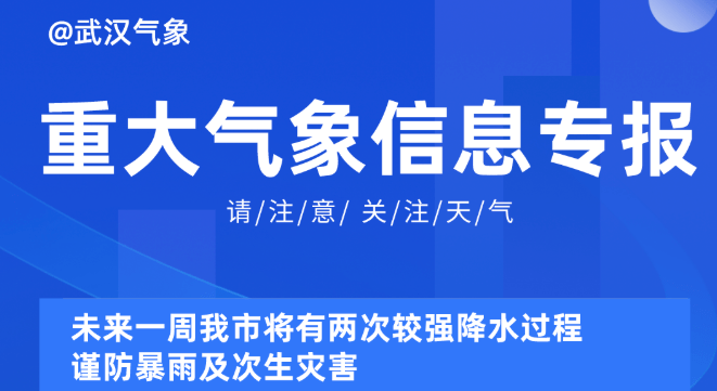 新奧精準(zhǔn)資料免費提供510期,新奧精準(zhǔn)資料免費提供510期，深度解析與前瞻性預(yù)測