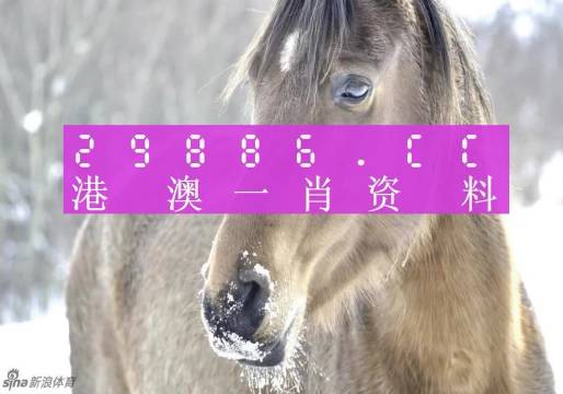 澳門精準(zhǔn)一肖一碼100%,澳門精準(zhǔn)一肖一碼100%，揭示犯罪背后的真相