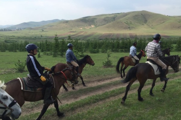 澳門今晚開特馬四不像圖,澳門今晚開特馬四不像圖，揭示違法犯罪的危害與警示