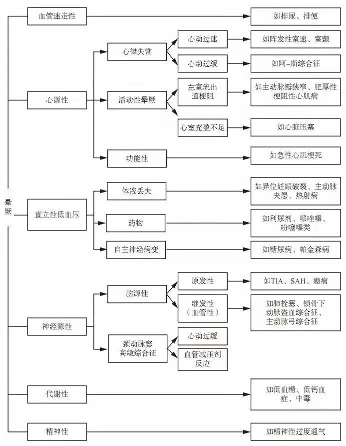 777778888王中王最新,探索數(shù)字背后的秘密，揭秘王中王最新與777778888背后的故事