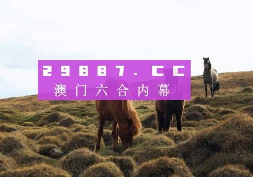 澳門六開獎結果2023開獎記錄查詢網(wǎng)站,澳門六開獎結果2023開獎記錄查詢網(wǎng)站，探索與解析