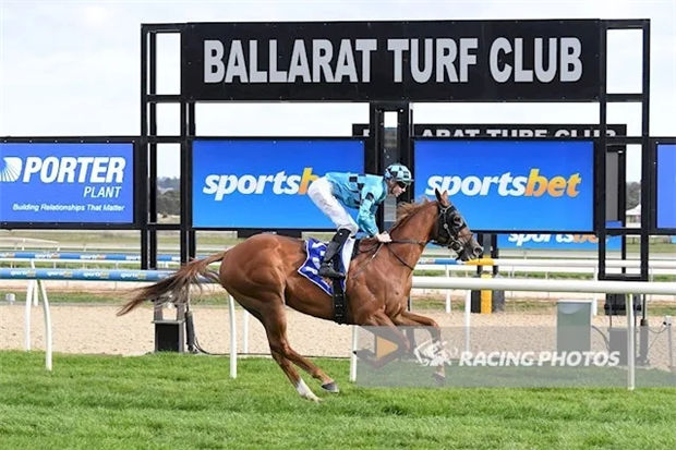 新澳今天開什么特馬,新澳今天開什么特馬，探索賽馬運動的魅力與奧秘