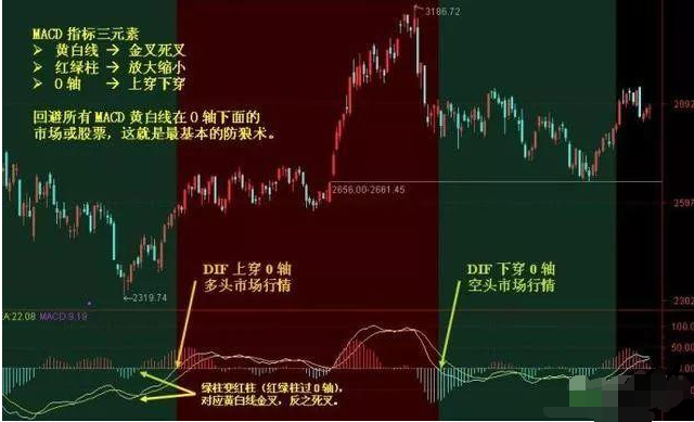 今晚上必開(kāi)一肖,今晚上必開(kāi)一肖，探索背后的神秘與預(yù)測(cè)的可能性