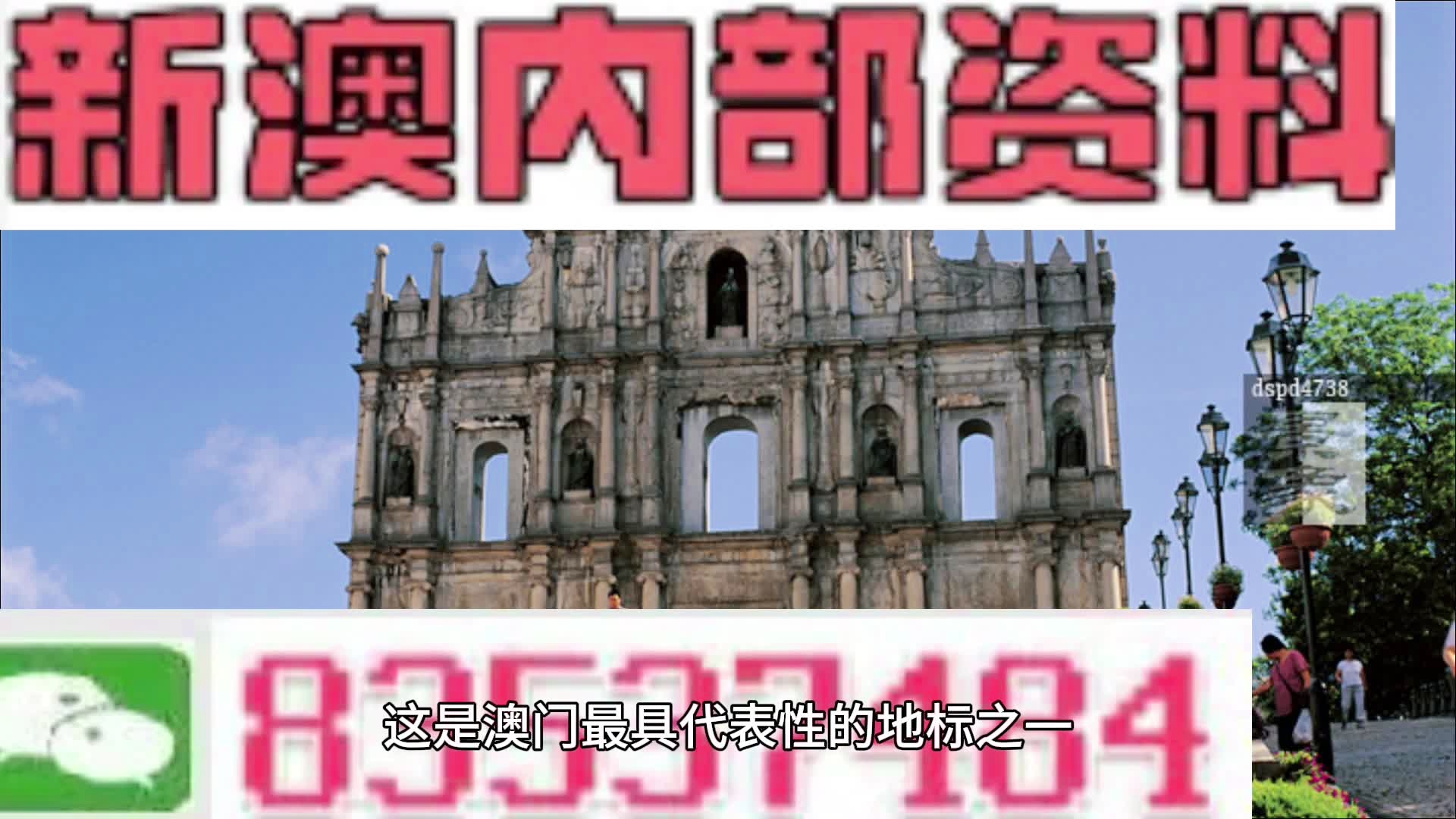 新澳門今晚精準(zhǔn)一肖,新澳門今晚精準(zhǔn)一肖預(yù)測(cè)分析