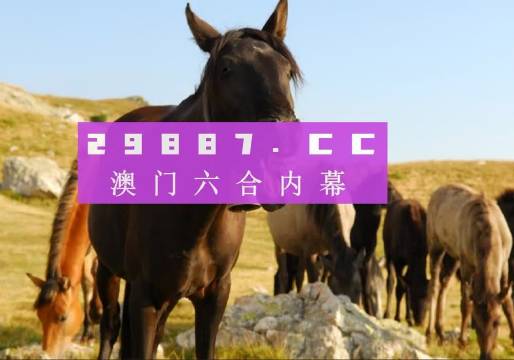 今晚澳門(mén)馬出什么特馬,今晚澳門(mén)馬出什么特馬，探索賽馬世界的神秘面紗