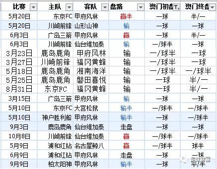 新澳內(nèi)部資料精準(zhǔn)一碼波色表,新澳內(nèi)部資料精準(zhǔn)一碼波色表，探索與解讀