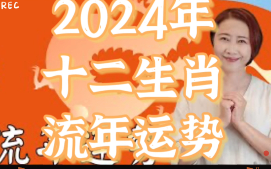 管家婆一碼中一肖2024年,管家婆的神秘預(yù)測，一碼中定，揭秘生肖運勢2024年