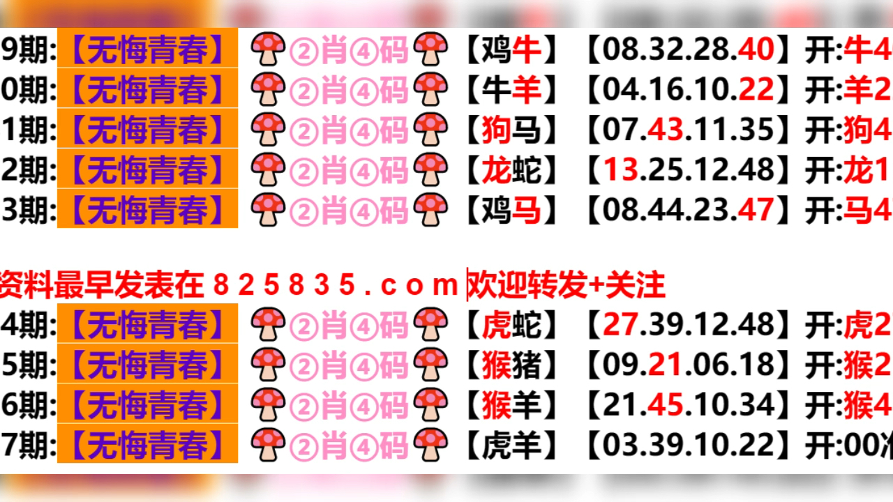 2024新奧門(mén)天天開(kāi)好彩大全85期,探索新奧門(mén)，2024年天天開(kāi)好彩的奧秘與期待