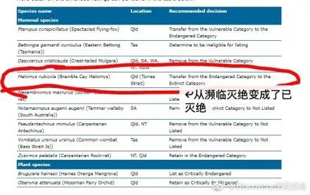 新澳今天最新免費資料,新澳今天最新免費資料概覽