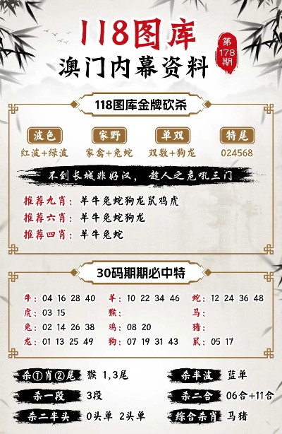 2024新澳今晚資料年051期,探索未來之門，新澳今晚資料年（2024年051期）展望與解析