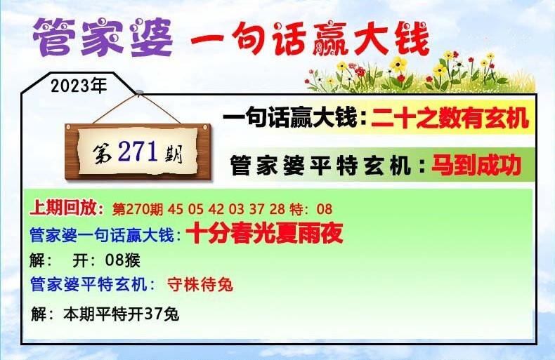 澳門一肖一碼100管家婆9995,澳門一肖一碼與管家婆9995，探索與解析