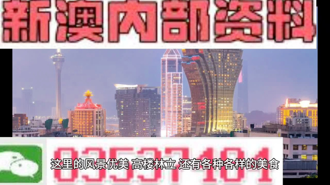 2024新澳資料免費精準051,探索未來，2024新澳資料免費精準051的全方位解讀