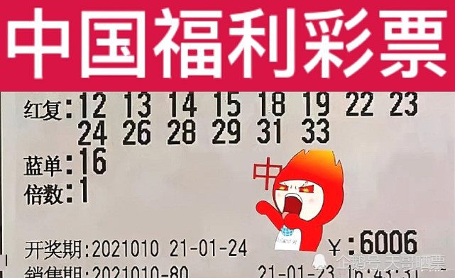 新澳2024今晚開獎結(jié)果,新澳2024今晚開獎結(jié)果，期待與驚喜交織的盛宴