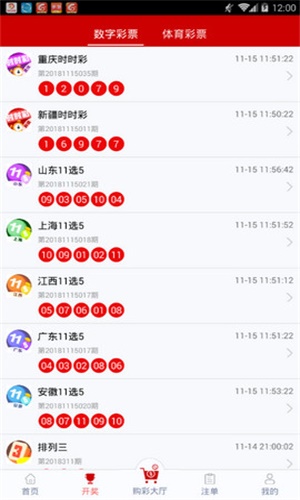 白小姐一碼一肖100準(zhǔn)確,白小姐一碼一肖，揭秘100%準(zhǔn)確的預(yù)測背后的秘密