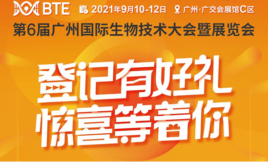 管家婆2024一句話中特,管家婆2024一句話中特，洞悉商業(yè)智慧，駕馭未來先機(jī)