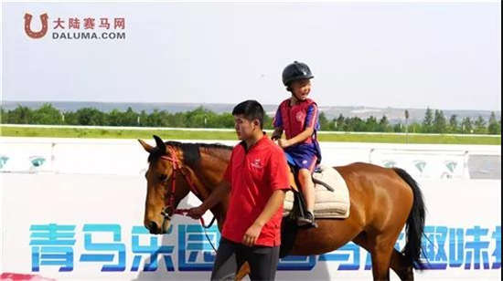 新澳今天開什么特馬,新澳今日賽馬結果揭秘，探尋特馬的勝利之路