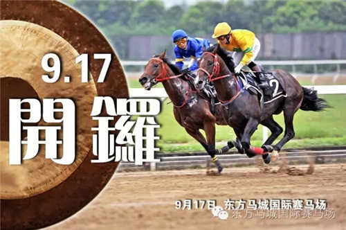 澳門今天晚上特馬開什么,澳門今晚特馬開什么，探索與解讀賽馬文化背后的秘密