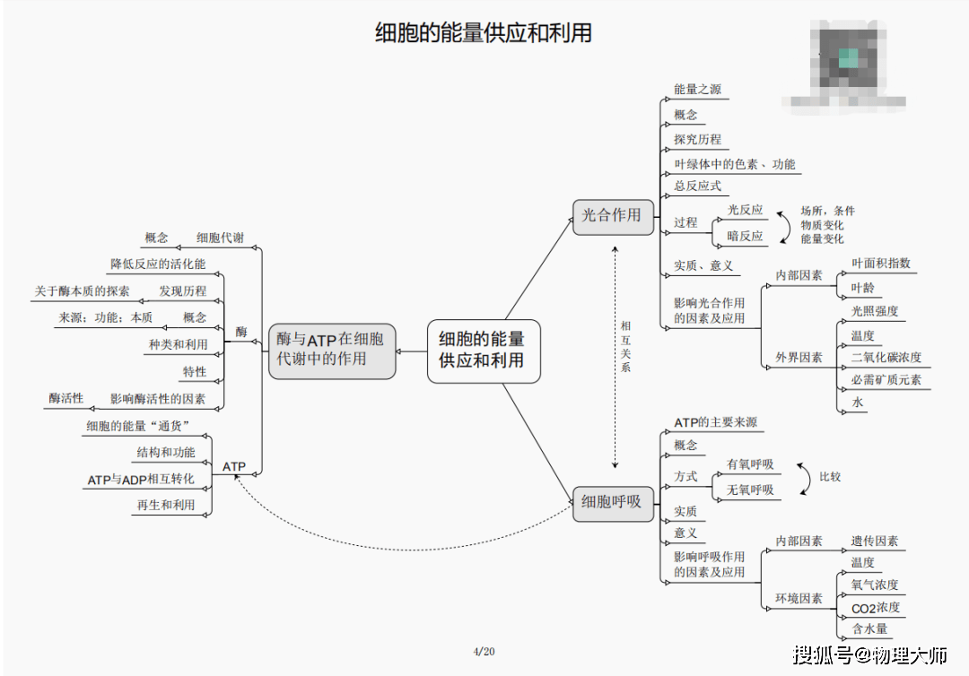 三中三必中一組澳門,澳門三中三必中一組的秘密與策略