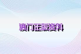 2024澳門精準(zhǔn)正版資料,澳門精準(zhǔn)正版資料，探索與解析