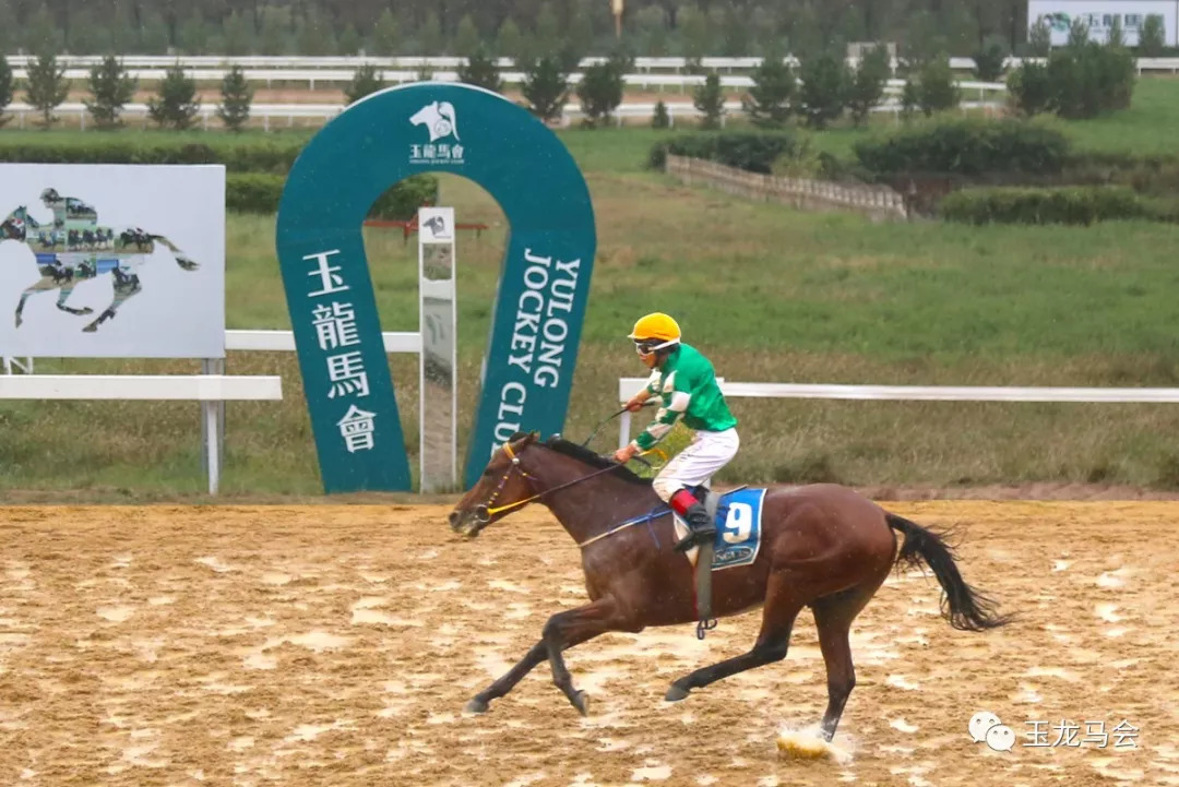 新澳今天開什么特馬,新澳今天開什么特馬，探索賽馬運(yùn)動(dòng)的魅力與奧秘