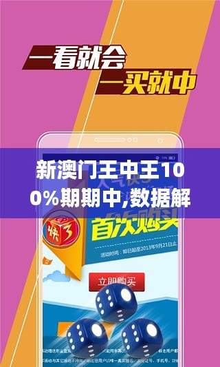 新澳門王中王王中王免費,新澳門王中王王中王免費，探索與體驗