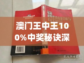 澳門王中王100期期中一期林,澳門王中王100期期中一期林，探索與解析