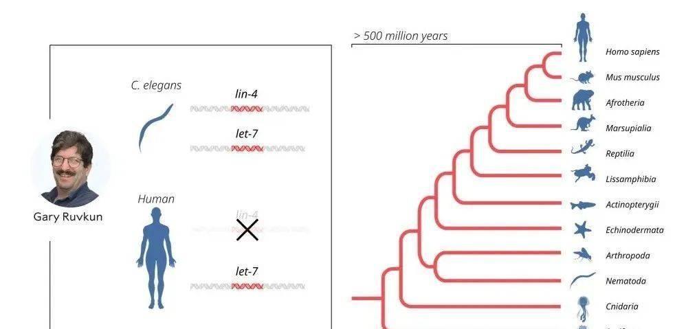 2024香港內(nèi)部最準(zhǔn)資料,揭秘香港內(nèi)部最準(zhǔn)資料，深度解讀香港未來(lái)藍(lán)圖（2024展望）