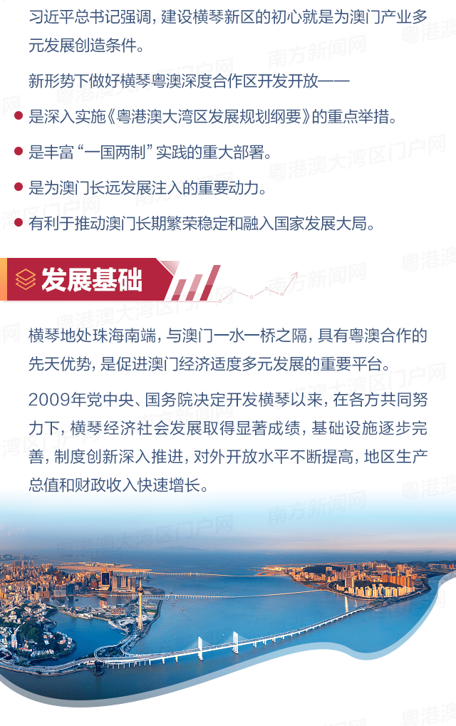 澳門天天開好彩大全65期,澳門天天開好彩大全深度解析，第65期展望與回顧