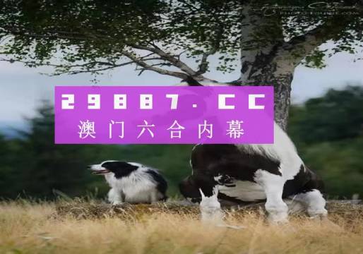 澳門內(nèi)部正版免費資料使用方法,澳門內(nèi)部正版免費資料的使用方法及其價值