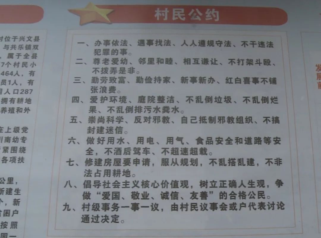 最準一肖100%準確精準的含義,揭秘最準一肖，探尋百分之百準確精準的真諦