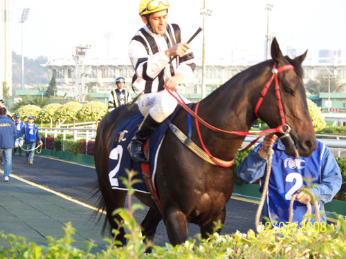 2024澳門正版今晚開特馬,澳門正版今晚開特馬，探索背后的故事與意義