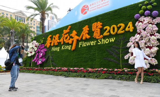 2024年香港開獎結果,揭秘未來之彩，2024年香港開獎結果展望