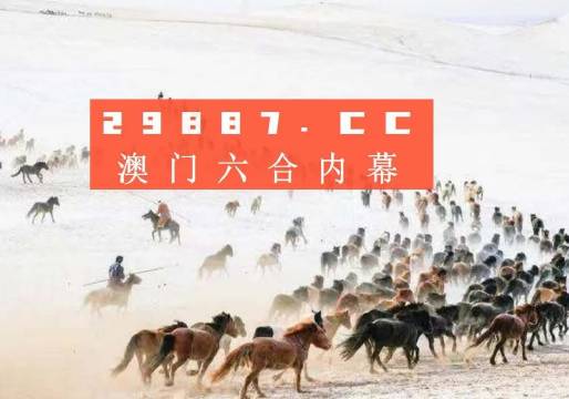 4949澳門特馬今晚開獎53期,澳門特馬第53期開獎揭曉，4949的魅力與期待