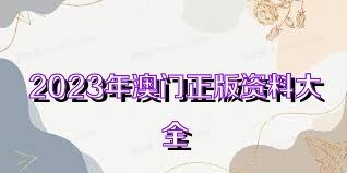 2023澳門正版全年免費(fèi)資料,澳門正版全年免費(fèi)資料，探索與期待