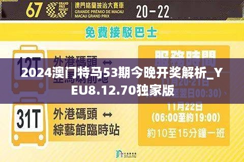 2025年澳門特馬今晚,探索澳門特馬的世界，2025年的今晚