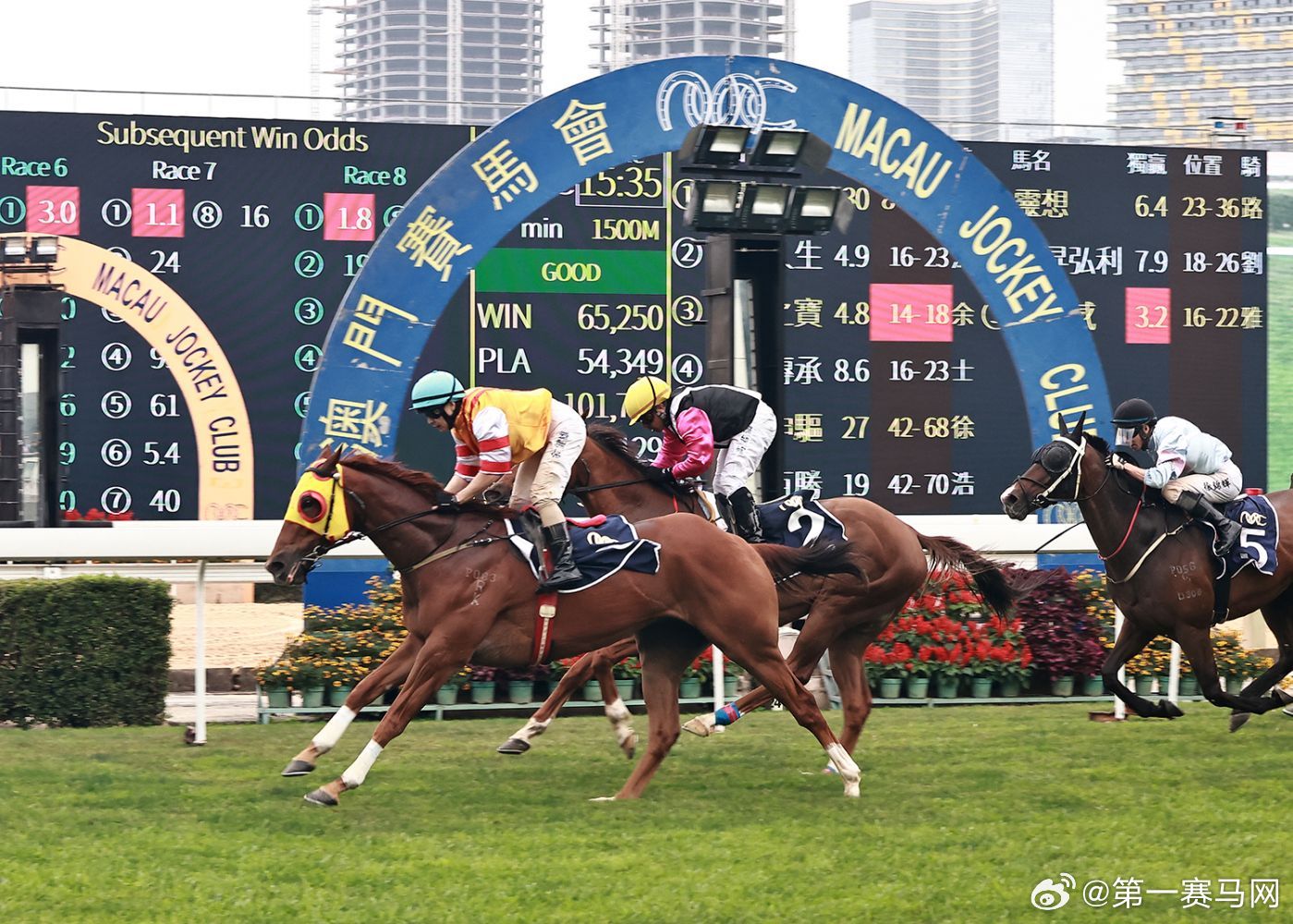 今晚澳門(mén)馬出什么特馬,今晚澳門(mén)馬出什么特馬，探索澳門(mén)賽馬世界的神秘面紗